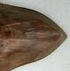 15,1 Cm. Megalodon Shark Tooth 100% Natural Fossil / 5.94 Huge Shark Tooth