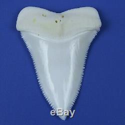 2.074'' Modern Principle Great White Shark Tooth Megalodon Sharks Movie Fan GT88