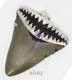2.10 inch Fossil Megalodon Shark Tooth Pendant Megalodon Tooth with Silver Cap