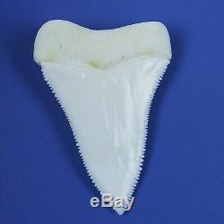 2.157'' Modern Principle Great White Shark Tooth Megalodon Sharks Movie Fan GT90