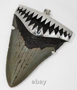 2.45 Fossil Megalodon Shark Tooth Pendant Megalodon Tooth with Silver Cap