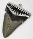 2.45 Fossil Megalodon Shark Tooth Pendant Megalodon Tooth With Silver Cap