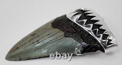 2.45 Fossil Megalodon Shark Tooth Pendant Megalodon Tooth with Silver Cap