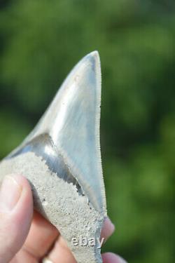 #37, Stunning 4 Indonesian Megalodon Tooth! . Big Serrations! U. K Stock