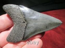 3-5/16 Inch MEGALODON SHARK Tooth Fossil Fish Teeth South Carolina TOP QUALITY