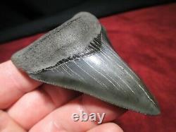 3-5/16 Inch MEGALODON SHARK Tooth Fossil Fish Teeth South Carolina TOP QUALITY