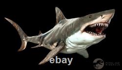 3.5 Quality Megalodon Shark Serrated Tooth Fossil Natural Miocene Age COA