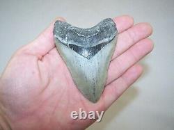 3.91 Inch / 3.9 oz / MEGALODON Fossil Shark Tooth Teeth / FREE STAND / T3-28