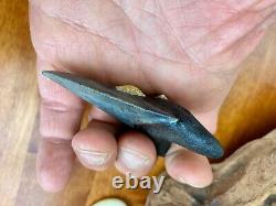 3+ Authentic Megalodon Fossil Shark Tooth with Attached Coral