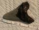 3 Inch Fossil Shark Tooth Megalodon