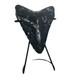 4.15 Megalodon Shark Tooth Polished Venice Florida With Stand