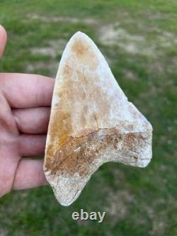 4.18 Orange Lightning Patterned Sharp Megalodon Fossil Shark Tooth Summerville