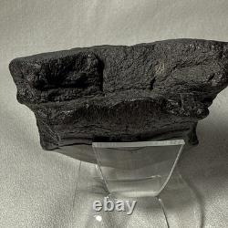 4.25 Authentic Megalodon Shark Tooth Fossil Natural Solid Root NO RESTORATION