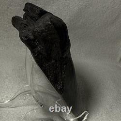 4.25 Authentic Megalodon Shark Tooth Fossil Natural Solid Root NO RESTORATION