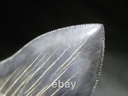 4-3/4 inch MEGALODON SHARK TOOTH Fossil Serrated Teeth SC MUSEUM QUALITY