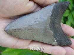 4.57inch megalodon shark tooth teeth fossil mako scuba great white monster mako