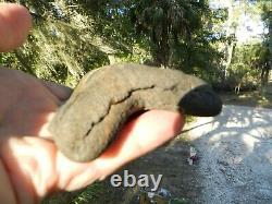 4. 66 Georgia Green Megalodon Glass Shark Tooth Serration Bourlette NO REPAIR