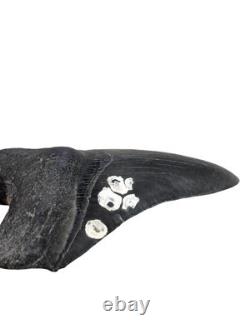 4.66 Inch Real Megalodon Black Shark Tooth Fossil Genuine Relic Huge Meg