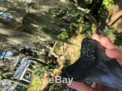 5.111 inch Thick Megalodon Shark Tooth Morgan River No Repair