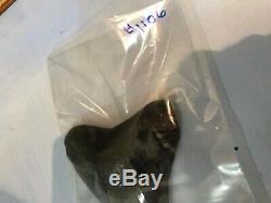 5.111 inch Thick Megalodon Shark Tooth Morgan River No Repair