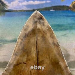 5.34 Indonesian Megalodon Shark Tooth Amazing Fossil Gorgeous Colors