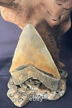 5.6 Real Megalodon Shark Tooth Big Fossil Genuine Prehistoric Meg Teeth
