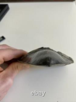 5.82 Indonesian Megalodon Shark Tooth 100% NATURAL