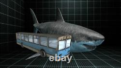 6 Inch Real Megalodon Shark Tooth Long Wide Big Extinct Genuine Natural Nice Meg