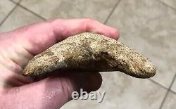 AWESOME LOWER DAGGER- Indonesian Megalodon Shark Tooth Fossil