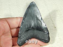 A BIG! Nice and 100% Natural Carcharocles MEGALODON Shark Tooth Fossil 80.4gr