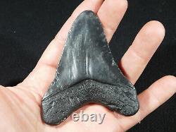 A BIG! Nice and 100% Natural Carcharocles MEGALODON Shark Tooth Fossil 89.3gr