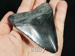 A Big! Nice and 100% Natural Carcharocles MEGALODON Shark Tooth Fossil 104gr