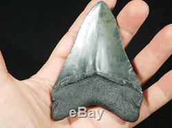 A Big! Nice and 100% Natural Carcharocles MEGALODON Shark Tooth Fossil 121gr