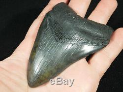 A Big! Nice and 100% Natural Carcharocles MEGALODON Shark Tooth Fossil 121gr