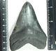 A Big! Nice And 100% Natural Carcharocles Megalodon Shark Tooth Fossil 86.2gr