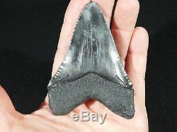 A Big! Nice and 100% Natural Carcharocles MEGALODON Shark Tooth Fossil 86.2gr