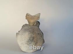 Agustidens Megalodon Tooth In Whale Vertabrae