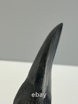 Ancient Original Megalodon Shark Tooth Fossil Massive 5 Inch