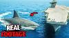 Australian Navy Just Discovered A Monster Shark Bigger Than Megalodon