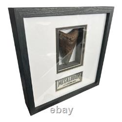 Authentic Megalodon Shark Tooth 3.625 Fossil Custom Framed Shadowbox Display