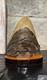 Authentic Megalodon Tooth Display Handmade One-of-a-kind Executive Collection