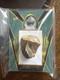 Authentic Megalodon Tooth Fossil Relic Card 2023 Pieces Of The Past One Time