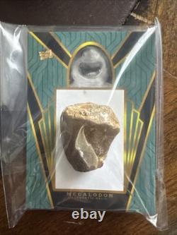 Authentic Megalodon Tooth Fossil Relic Card 2023 Pieces Of The Past One Time