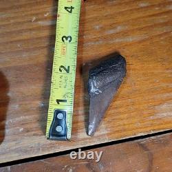 Authentic Megalodon Tooth Fragment Lot Of 20 Broken Megalodon Teeth 1.7+ LBS