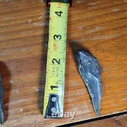 Authentic Megalodon Tooth Fragment Lot Of 20 Broken Megalodon Teeth 1.7+ LBS