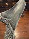 Big 3.8 Angustidens Shark Tooth South Carolina Fossil Megalodon Era S. C