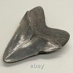 Beautiful, dark colors with serrations 3.72 Fossil MEGALODON Shark Tooth