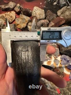 Big 5.22 Cetacean Fossil Tooth Extinct Megalodon Prey Rare South Carolina
