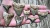 Boneyard Benedeni Amazing Fossil Shark Tooth Hunting