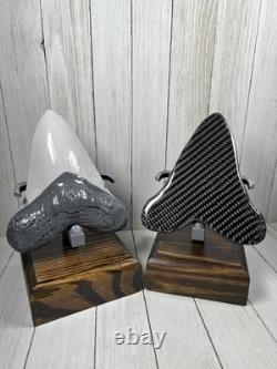 Carbon Fiber Megalodon Tooth! Limited Edition Stand Included Over 5.5 inches